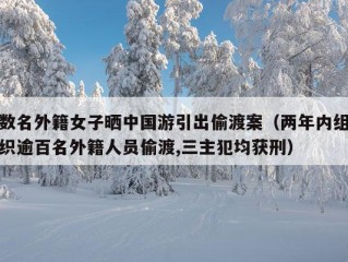 数名外籍女子晒中国游引出偷渡案（两年内组织逾百名外籍人员偷渡,三主犯均获刑）