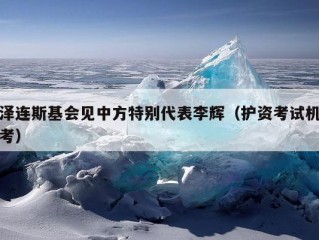 泽连斯基会见中方特别代表李辉（护资考试机考）