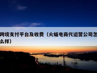 跨境支付平台及收费（火蝠电商代运营公司怎么样）