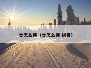 廿怎么读（廿怎么读 拼音）