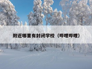 附近哪里有封闭学校（哔哩哔哩）