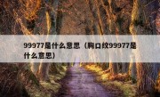 99977是什么意思（胸口纹99977是什么意思）