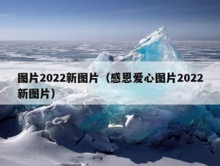 图片2022新图片（感恩爱心图片2022新图片）