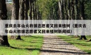 重庆去年山火救援志愿者又回来植树（重庆去年山火救援志愿者又回来植树新闻稿）