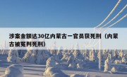 涉案金额达30亿内蒙古一官员获死刑（内蒙古被冤判死刑）