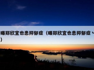 曝郑欣宜也患抑郁症（曝郑欣宜也患抑郁症丶）