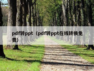 pdf转ppt（pdf转ppt在线转换免费）