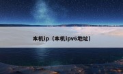 本机ip（本机ipv6地址）