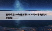 消防喷水20分钟解救3000只中暑鸭的简单介绍