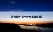 紫光股份（000938紫光股票）