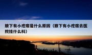 腋下有小疙瘩是什么原因（腋下有小疙瘩去医院挂什么科）