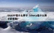 SHARP是什么牌子（sharp是什么牌子的电视）