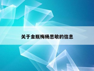 关于金瓶梅杨思敏的信息