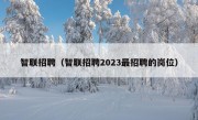 智联招聘（智联招聘2023最招聘的岗位）