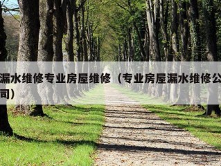 漏水维修专业房屋维修（专业房屋漏水维修公司）