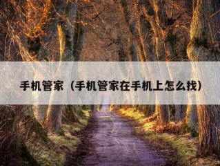 手机管家（手机管家在手机上怎么找）