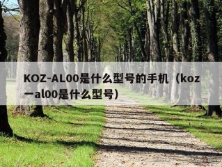 KOZ-AL00是什么型号的手机（koz一al00是什么型号）