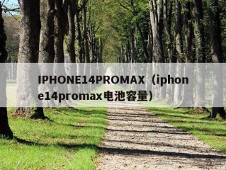 IPHONE14PROMAX（iphone14promax电池容量）