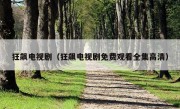 狂飙电视剧（狂飙电视剧免费观看全集高清）