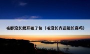 毛都没长就开被了包（毛没长齐还能长高吗）