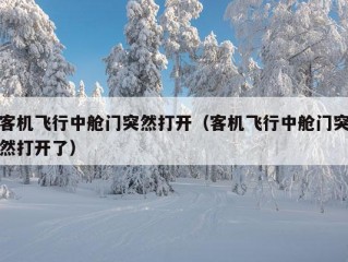 客机飞行中舱门突然打开（客机飞行中舱门突然打开了）