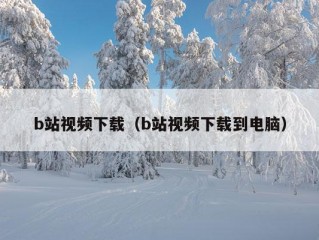 b站视频下载（b站视频下载到电脑）