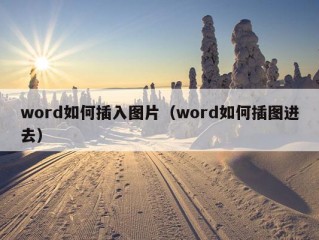 word如何插入图片（word如何插图进去）