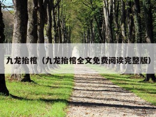 九龙抬棺（九龙抬棺全文免费阅读完整版）