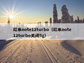 红米note12turbo（红米note12turbo关闭5g）