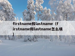 firstname和lastname（firstname和lastname怎么填）