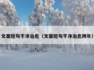 文案短句干净治愈（文案短句干净治愈跨年）