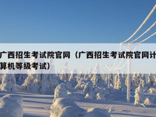 广西招生考试院官网（广西招生考试院官网计算机等级考试）