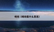 魂动（魂动是什么意思）