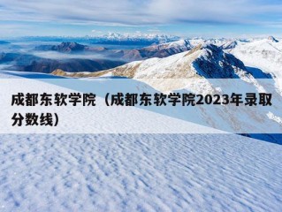 成都东软学院（成都东软学院2023年录取分数线）