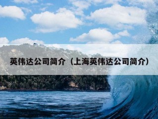 英伟达公司简介（上海英伟达公司简介）