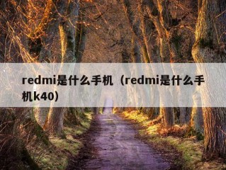 redmi是什么手机（redmi是什么手机k40）