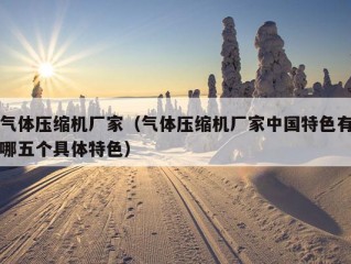 气体压缩机厂家（气体压缩机厂家中国特色有哪五个具体特色）