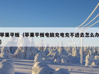 苹果平板（苹果平板电脑充电充不进去怎么办）