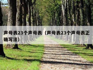 声母表23个声母表（声母表23个声母表正确写法）