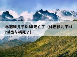 林志颖儿子KIMI死亡了（林志颖儿子kimi出车祸死了）