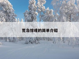 荒岛惊魂的简单介绍