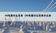 90年属什么生肖（90年属什么生肖什么命）