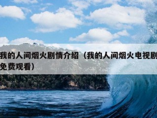 我的人间烟火剧情介绍（我的人间烟火电视剧免费观看）