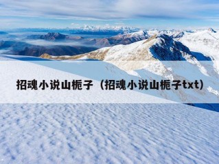 招魂小说山栀子（招魂小说山栀子txt）