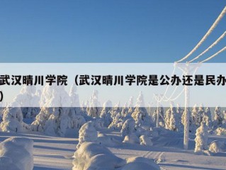 武汉晴川学院（武汉晴川学院是公办还是民办）