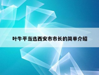 叶牛平当选西安市市长的简单介绍