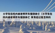 小学生在校内被老师开车撞倒身亡（小学生在校内被老师开车撞倒身亡 事发经过是怎样的?）