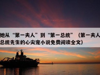 她从“第一夫人”到“第一总统”（第一夫人总统先生的心尖宠小说免费阅读全文）