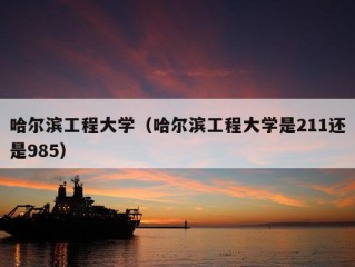 哈尔滨工程大学（哈尔滨工程大学是211还是985）