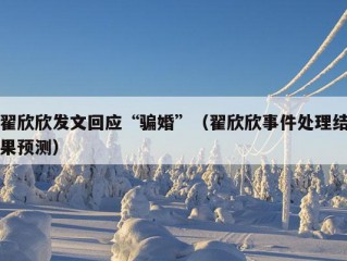 翟欣欣发文回应“骗婚”（翟欣欣事件处理结果预测）